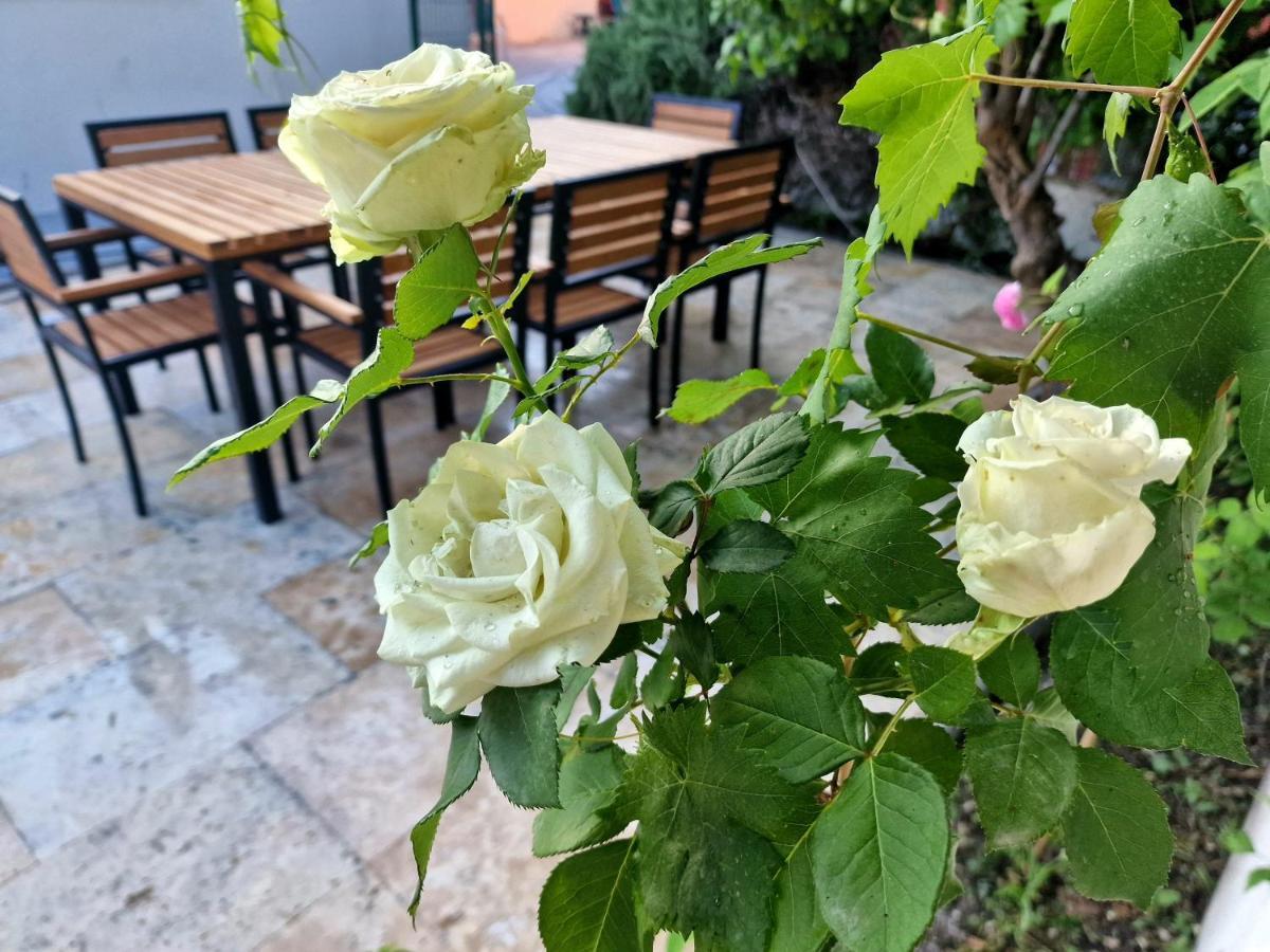 Premium Apartment Alba Rosa Split Ngoại thất bức ảnh